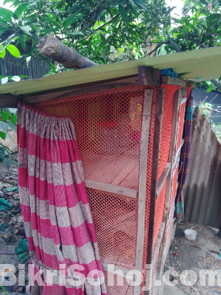 পশুপাখি পালা খোপ
